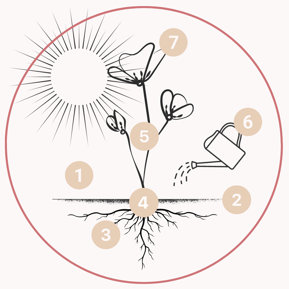 Reconnect & Flourish methode Reconnect & Flourish methode